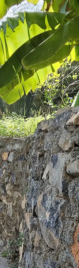 Omanisches Bewässerungssystem